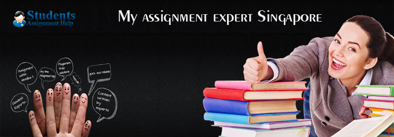 Expert assignment